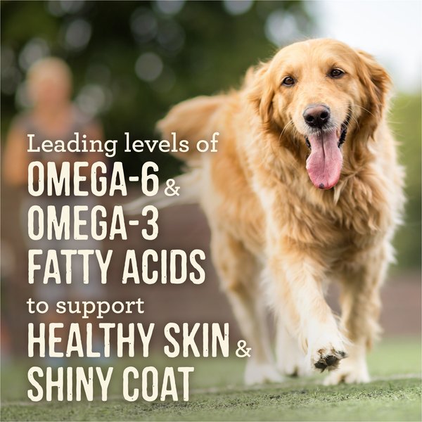 Show full view: Merrick Grain-Free Slow-Cooked BBQ Kansas City Style with Chopped Pork Wet Dog Food, 360-g can, case of 12 slide 7 of 11