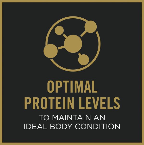 Show full view: Purina Pro Plan Complete Essentials Classic Adult 7+ Senior Chicken & Rice Entree Wet Dog Food, 368-g can, case of 12 slide 5 of 10