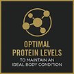 Show in main carousel: Purina Pro Plan Complete Essentials Classic Adult 7+ Senior Chicken & Rice Entree Wet Dog Food, 368-g can, case of 12 slide 5 of 10