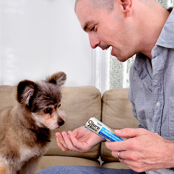 Show full view: Inaba Churu Bites Chicken with Salmon Recipe Soft & Chewy Dog Treats, 12-g pouch, 8 count slide 7 of 7