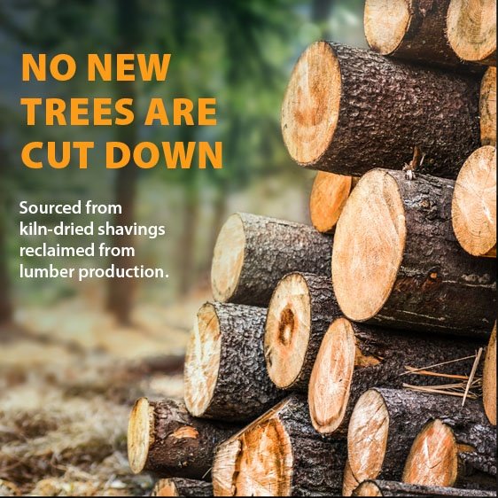 Show full view: Arm & Hammer Litter Feline Pine Original Non-Clumping Wood Cat Litter, 9.07-kg bag slide 6 of 7