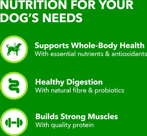 Show full view: Iams Proactive Health Minichunks Adult Beef & Rice Recipe Dry Dog Food, 3.18-kg bag slide 5 of 6