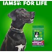 Show in main carousel: Iams Proactive Health Minichunks Adult Beef & Rice Recipe Dry Dog Food, 3.18-kg bag slide 2 of 6