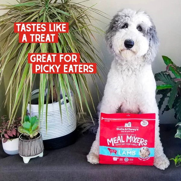 Show full view: Stella & Chewy's Dandy Lamb Meal Mixers Freeze-Dried Raw Dog Food Topper, 18-oz bag slide 7 of 10