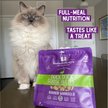 Show in main carousel: Stella & Chewy's Duck Duck Goose Dinner Morsels Freeze-Dried Raw Cat Food, 18-oz bag slide 7 of 10
