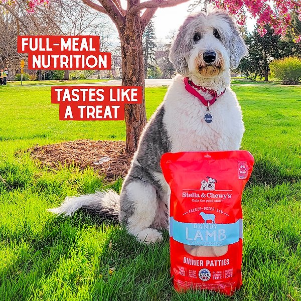 Show full view: Stella & Chewy's Dandy Lamb Dinner Patties Freeze-Dried Raw Dog Food, 25-oz bag slide 7 of 10