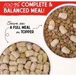 Show in main carousel: Stella & Chewy's Chewy's Chicken Meal Mixers Freeze-Dried Raw Dog Food Topper, 18-oz bag slide 4 of 10