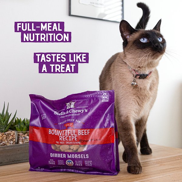 Show full view: Stella & Chewy's Freeze-Dried Raw Dinner Morsels Grain-Free Protein Rich Bountiful Beef Recipe Cat Food, 3.5-oz bag slide 7 of 10