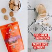 Show in main carousel: Stella & Chewy's Tantalizing Turkey Dinner Patties Freeze-Dried Raw Dog Food, 5.5-oz bag slide 7 of 10