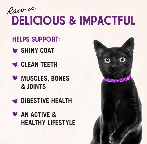 Show full view: Stella & Chewy's Yummy Lickin' Salmon & Chicken Dinner Morsels Freeze-Dried Raw Cat Food, 3.5-oz bag slide 5 of 10