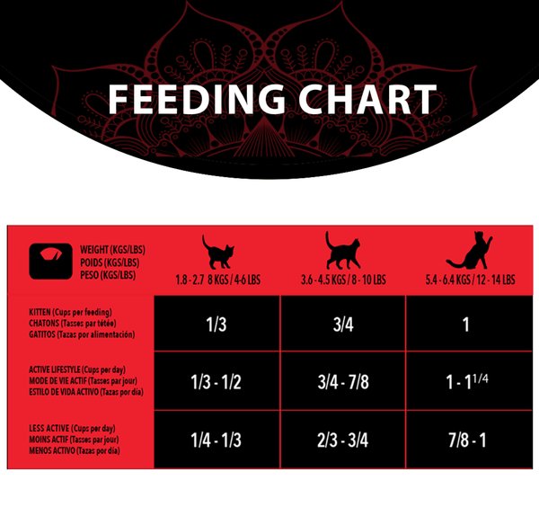 Show full view: Harlow Blend Grain-Free Turkey Fusion Recipe Dry Cat Food, 4-lb bag slide 6 of 7