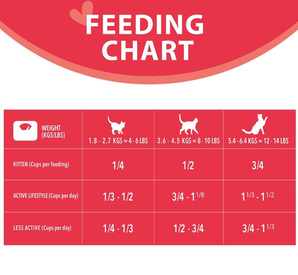 Show full view: Harlow Blend Salmon & Chicken Recipe Dry Cat Food, 10-lb bag slide 8 of 9