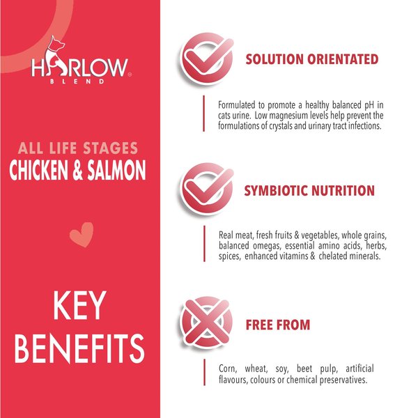 Show full view: Harlow Blend Salmon & Chicken Recipe Dry Cat Food, 10-lb bag slide 5 of 9