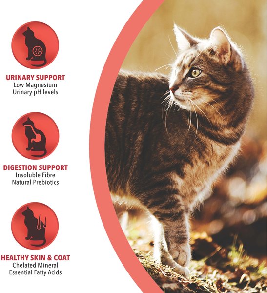 Show full view: Harlow Blend Salmon & Chicken Recipe Dry Cat Food, 10-lb bag slide 3 of 9