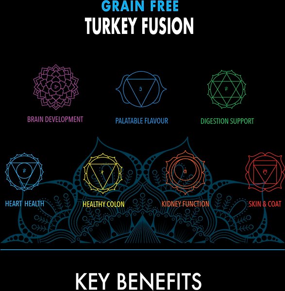 Show full view: Harlow Blend Grain-Free Turkey Fusion Recipe Dry Dog Food, 4-lb bag slide 3 of 7