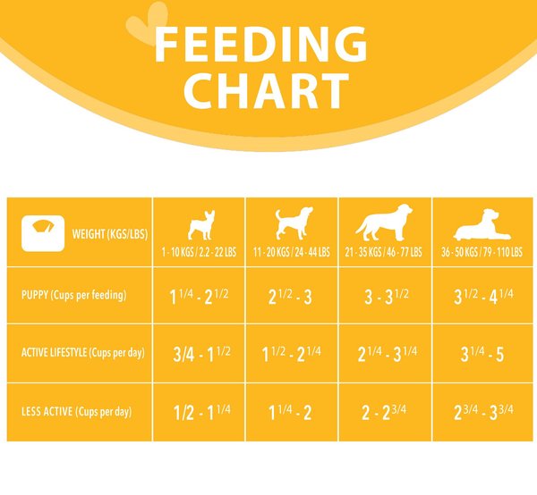 Show full view: Harlow Blend Chicken, Rice & Vegetable Recipe Dry Dog Food, 5-lb bag slide 7 of 8