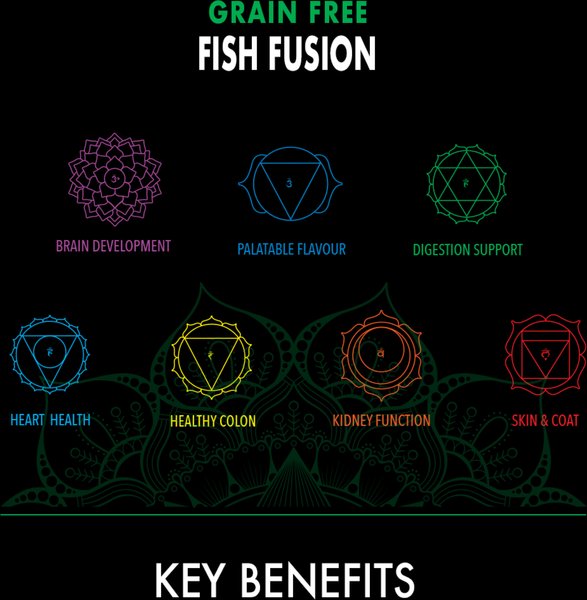 Show full view: Harlow Blend Grain-Free Fish Fusion Recipe Dry Cat Food, 12-lb bag slide 3 of 7