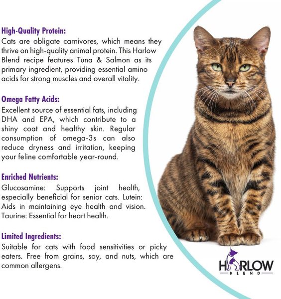 Show full view: Harlow Blend Tuna Mousse Recipe Wet Cat Food, 80-g can, case of 24 slide 7 of 7