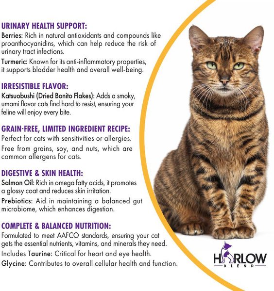 Show full view: Harlow Blend Chicken In Gravy with Katsuobushi & Berries Wet Cat Food, 80-g can, case of 24 slide 7 of 7