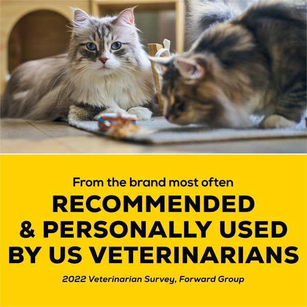 Show full view: Tidy Cats LightWeight Glade Clean Blossoms Multi-Cat Cat Litter, 2.72-kg jug slide 4 of 9