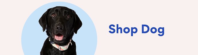 Shop dog collars