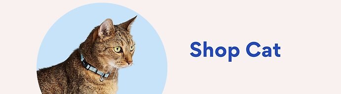 Shop cat collars