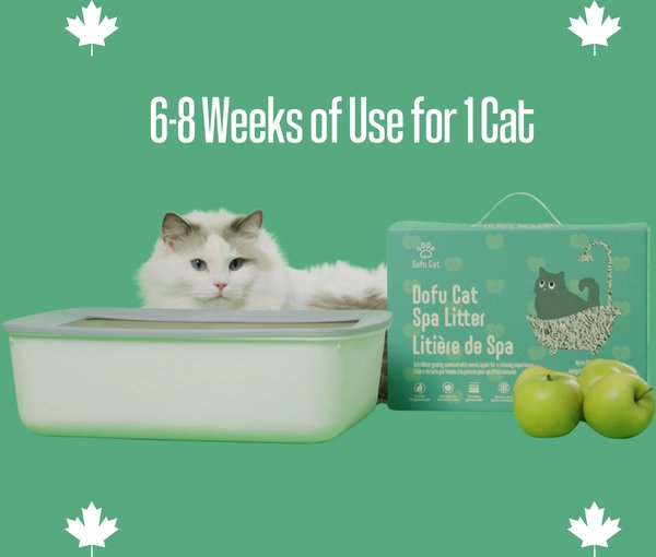 Show full view: Dofu Cat Sweet Apple Scented Spa Clumping Cat Litter, 5-kg box slide 9 of 9