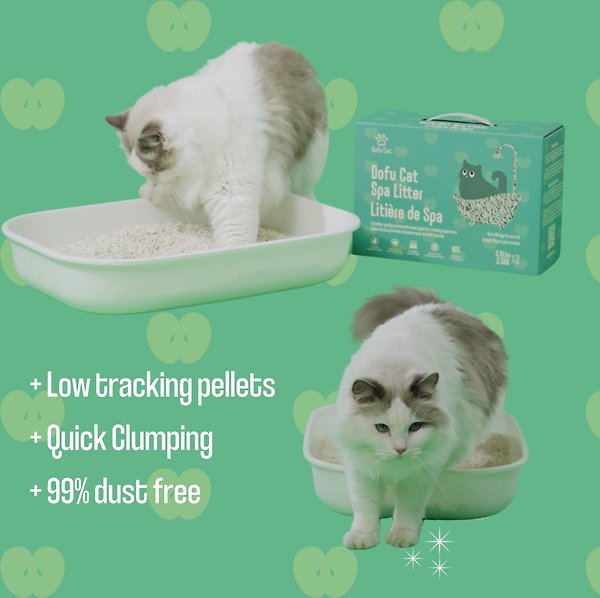 Show full view: Dofu Cat Sweet Apple Scented Spa Clumping Cat Litter, 5-kg box slide 7 of 9