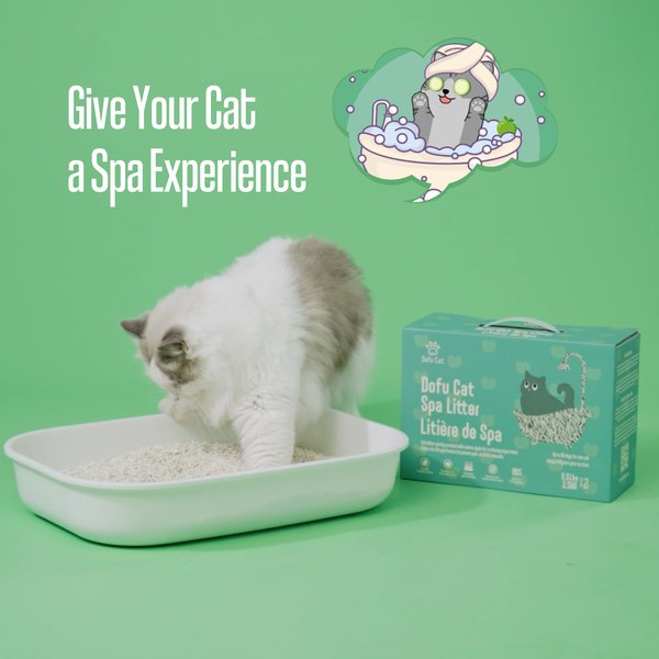 Show full view: Dofu Cat Sweet Apple Scented Spa Clumping Cat Litter, 5-kg box slide 8 of 9