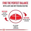 Show in main carousel: Royal Canin Canine Care Nutrition Weight Care Loaf in Sauce Wet Canned Dog Food, 13.5-oz can, case of 12 slide 9 of 11