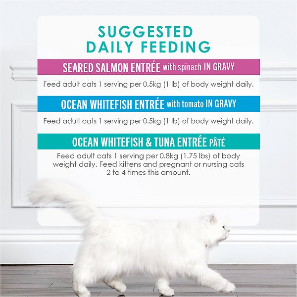 Show full view: Fancy Feast Petites Seafood Favourites Variety Pack Wet Cat Food, 79.4-g tray, case of 24 slide 8 of 9