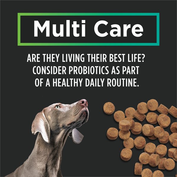 Show full view: Purina Pro Plan Veterinary Supplements Multi Care Canine Chew Dog Supplement, 60 count slide 6 of 9