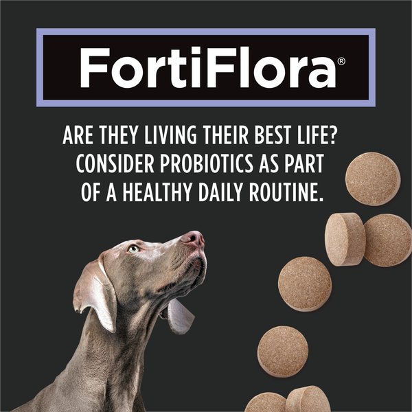 Show full view: Purina Pro Plan Veterinary Supplements FortiFlora Canine Probiotic Tablets Dog Supplement, 90 count slide 6 of 8