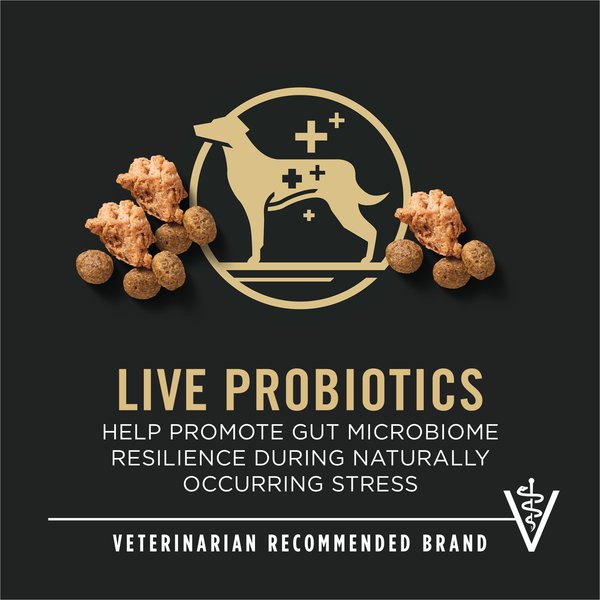 Show full view: Purina Pro Plan Small Breed Adult 7+ Shredded Blend Chicken & Rice Formula Dry Dog Food, 2.72-kg bag slide 7 of 10