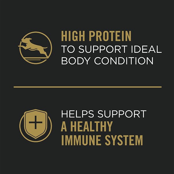 Show full view: Purina Pro Plan Complete Essentials Poultry Variety Pack Wet Dog Food, 368-g can, case of 12 slide 6 of 16