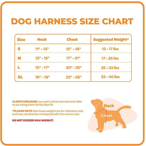 Show full view: Best Pet Supplies Voyager Step-in Lock Dog Harness, Black, Small slide 4 of 5