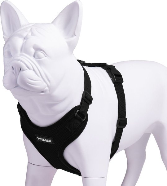 Show full view: Best Pet Supplies Voyager Step-in Lock Dog Harness, Black, Small slide 3 of 5