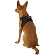 Show in main carousel: Best Pet Supplies Voyager Padded Fleece Dog Harness, Black, Small slide 4 of 10