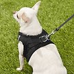 Show in main carousel: Best Pet Supplies Voyager Padded Fleece Dog Harness, Black, X-Small slide 8 of 10