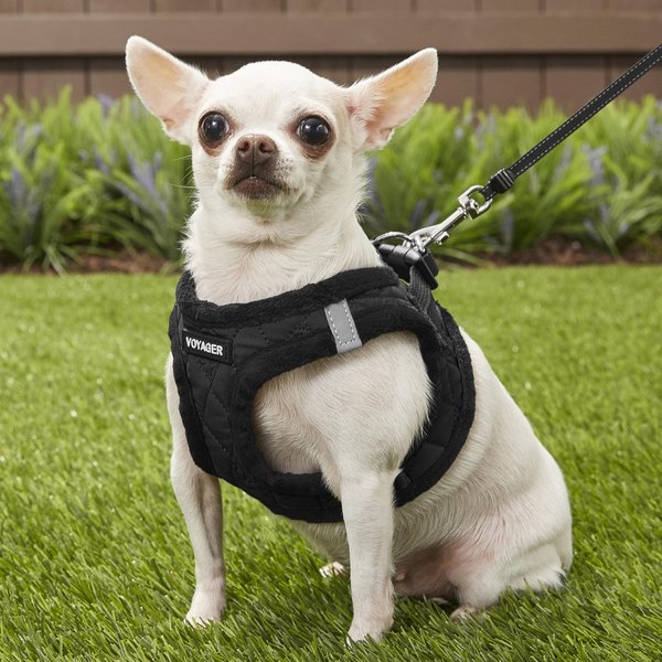 Show full view: Best Pet Supplies Voyager Padded Fleece Dog Harness, Black, X-Small slide 7 of 10