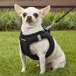 Show in main carousel: Best Pet Supplies Voyager Padded Fleece Dog Harness, Black, X-Small slide 7 of 10
