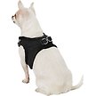 Show in main carousel: Best Pet Supplies Voyager Padded Fleece Dog Harness, Black, X-Small slide 6 of 10