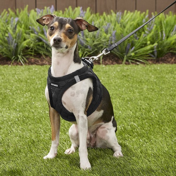 Show full view: Best Pet Supplies Voyager Padded Fleece Dog Harness, Black, Small slide 5 of 10