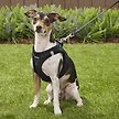 Show in main carousel: Best Pet Supplies Voyager Padded Fleece Dog Harness, Black, Small slide 5 of 10