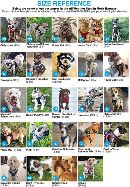 Show full view: Best Pet Supplies Voyager Black Trim Mesh Dog Harness, Pink, Small slide 9 of 10