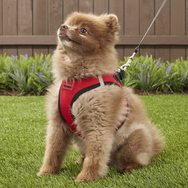 Show full view: Best Pet Supplies Voyager Black Trim Mesh Dog Harness, Red, Large slide 7 of 10