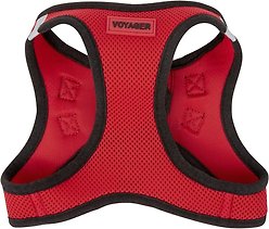 Best Pet Supplies Voyager Black Trim Mesh Dog Harness, Red, Large