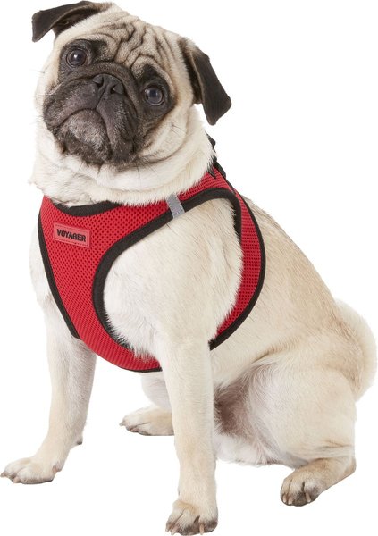 Show full view: Best Pet Supplies Voyager Black Trim Mesh Dog Harness, Red, Large slide 5 of 10