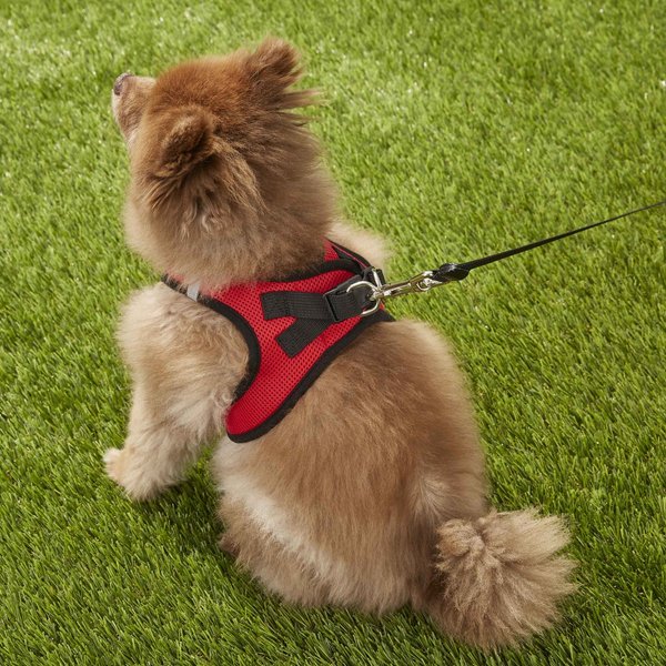 Show full view: Best Pet Supplies Voyager Black Trim Mesh Dog Harness, Red, Large slide 8 of 10