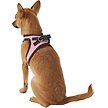Show in main carousel: Best Pet Supplies Voyager Black Trim Mesh Dog Harness, Pink, Small slide 6 of 10